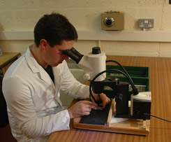 PCB Inspection Prior to Installation